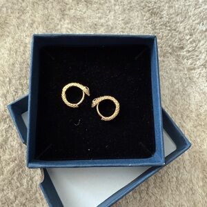 Snake Gold Hoop Earrings